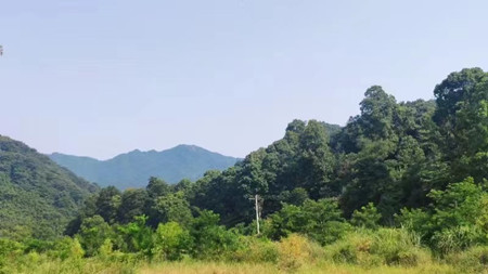 成都萬全電子|萬全電子|成都高溫橙色預警|戶外監(jiān)控攝像頭安裝