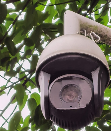 AI視頻聯(lián)網(wǎng)報(bào)警系統(tǒng)提示：湖景雖美，但請遠(yuǎn)離堤岸|峨眉山|峨秀湖|戶外監(jiān)控球機(jī)