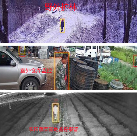 無電無網(wǎng)少人煙的野外，還想裝監(jiān)控系統(tǒng)？這不是空想