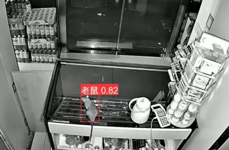 AI智能監(jiān)控算法推出新算法，老鼠再也無處可逃