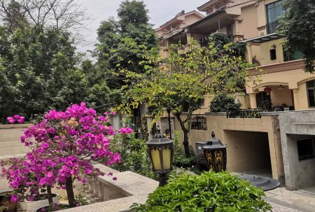 小區(qū)屢被&ldquo;光顧&rdquo;，居家安全小區(qū)安防請多加重視