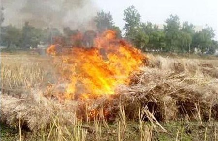 AI視頻監(jiān)控系統(tǒng)|AI監(jiān)控報(bào)警系統(tǒng)|農(nóng)村安防|AI算法|防下水算法|火焰識(shí)別算法|防翻越算法